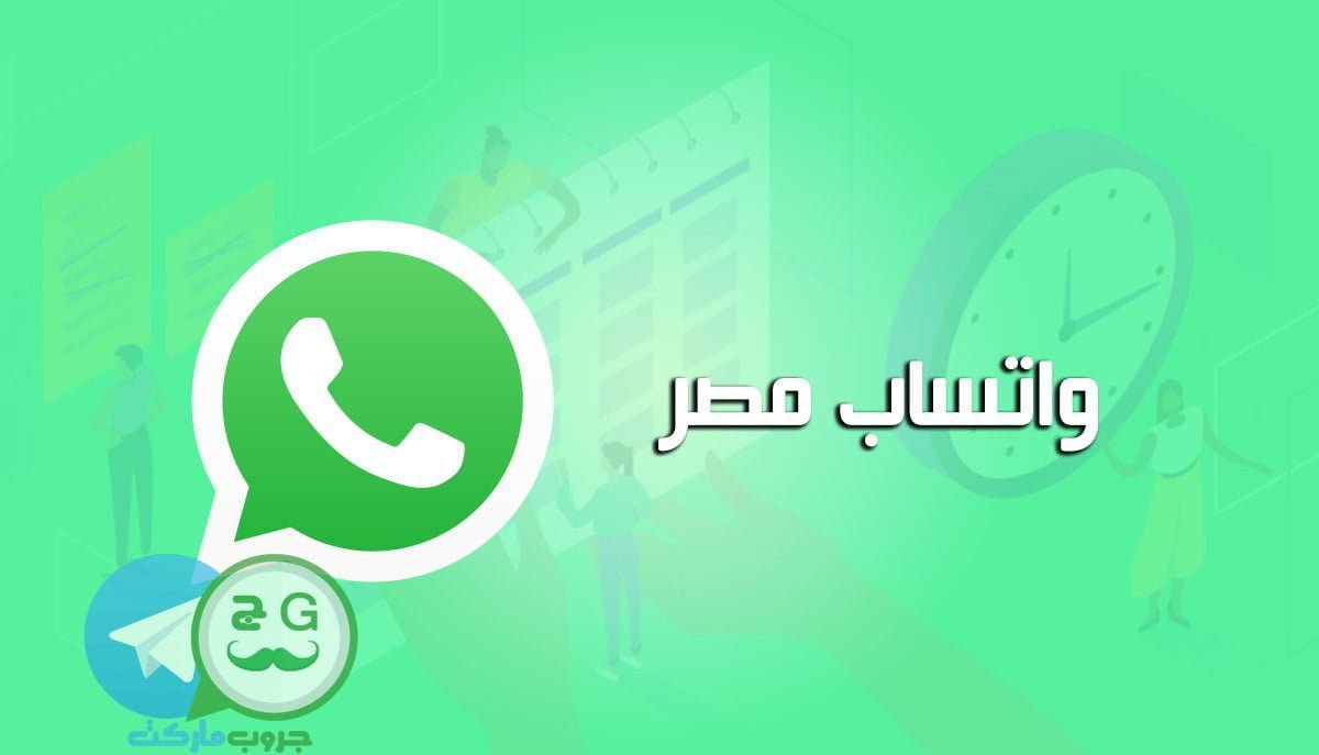 واتساب مصر